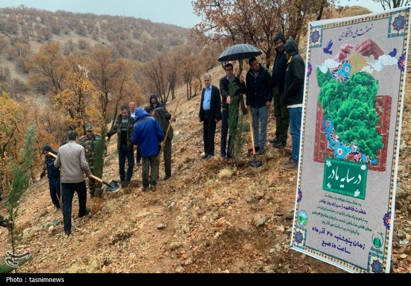 نهالکاری در سایه مادر در یاسوج برگزار شد؛ تولید 800 هزار اصله نهال+تصاویر اخبار استان کهگیلویه و بویراحمد , سازمان منابع طبیعی ,