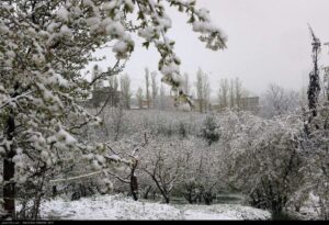 هشدار هواشناسی به ۲۵ استان؛ خسارت به محصولات کشاورزی با تشدید بارش‌ها