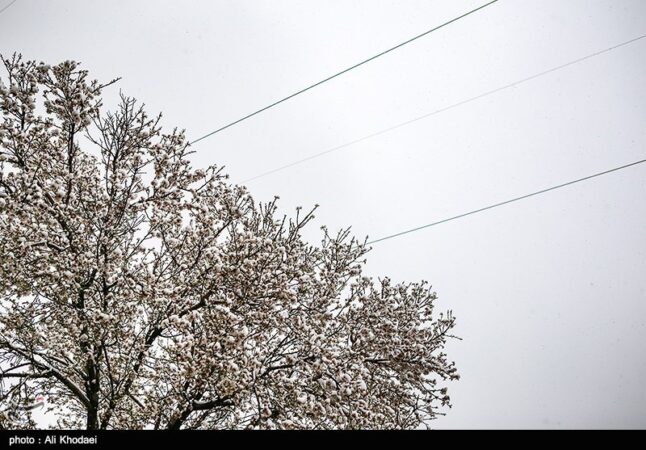 هشدار یخبندان در اصفهان؛ دمای هوا بین 5 تا 8 درجه کاهش می‌یابد