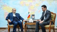 واکنش ولایتی به طرح «ترامپ» درباره قفقاز / در دیدار با سفیر ارمنستان مطرح شد