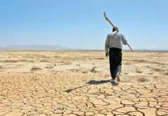 کاهش 50 درصدی تولیدات کشاورزی گلستان/ نگرانی استانداری برای 1405
