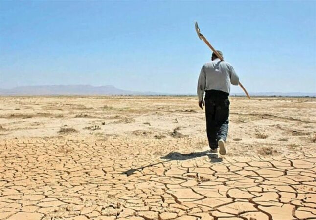 کاهش 50 درصدی تولیدات کشاورزی گلستان/ نگرانی استانداری برای 1405