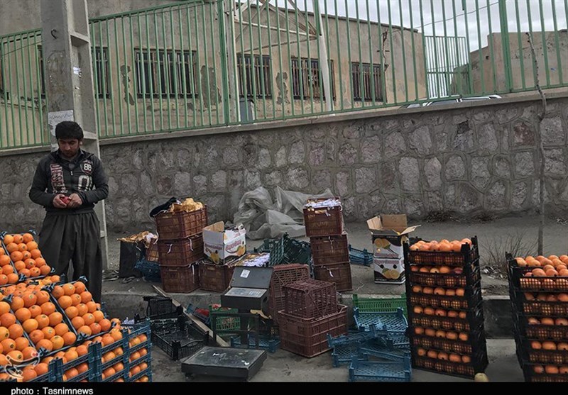 گزارش میدانی تسنیم از بازار میوه/ خانوادهها در حسرت پرتقال و سیب/ میوه هم کالای لوکس شد اخبار یزد , نظام مسائل استان یزد ,