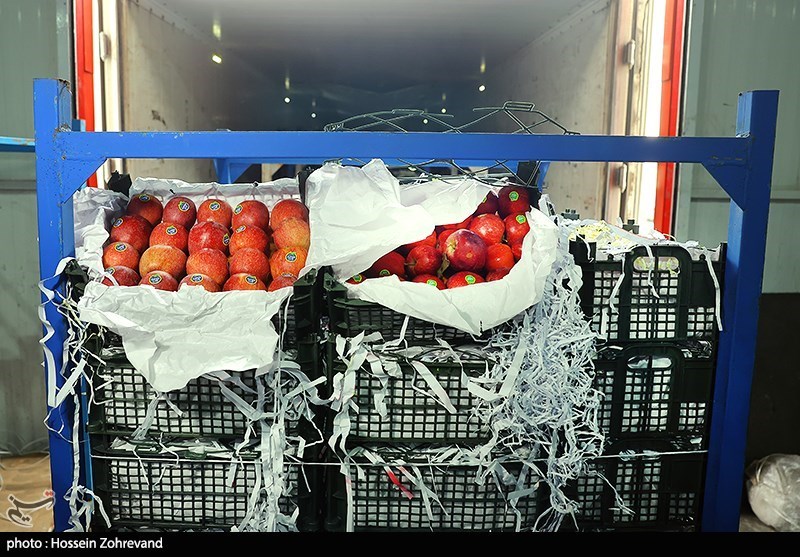 گزارش میدانی تسنیم از بازار میوه/ خانوادهها در حسرت پرتقال و سیب/ میوه هم کالای لوکس شد اخبار یزد , نظام مسائل استان یزد ,