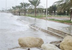 گناوه با 65 میلیمتر رکورددار بارندگی در استان بوشهر