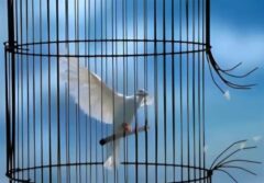 یلدای آزادی؛ مرخصی یک‌هفته‌ای 681 زندانی واجد شرایط در استان سمنان