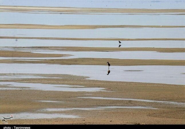 روایت تلخ تالاب میقان ؛ استخراج معدنی چگونه میقان را خشک کرد؟