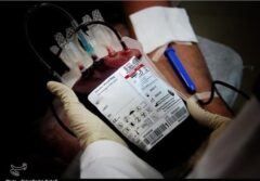 سنگ‌تمام البرزی‌ها در اهدای خون؛ 14 هزار نفر خون دادند