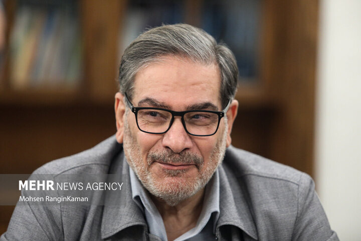 شمخانی: دست مداخله‌گر پیش از رسیدن قطع خواهد شد