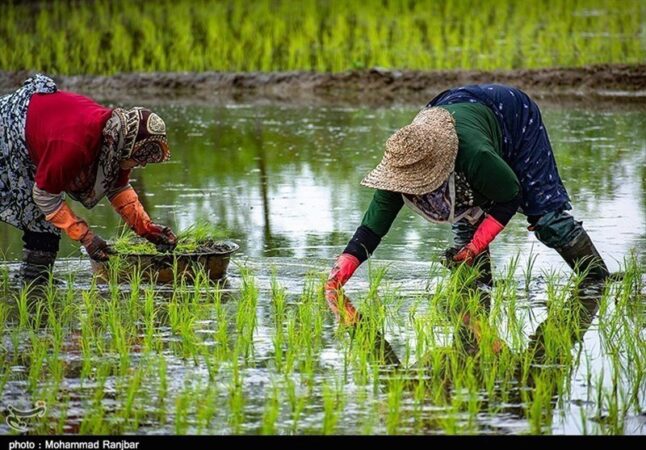 «نجات آب» ــ 53 | آموزش زنان کشاورز در مناطق کم‌برخوردار