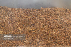 ۲۷ درصد بازار سیگار و ۹۳ درصد بازار تنباکو در اختیار قاچاقچیان است