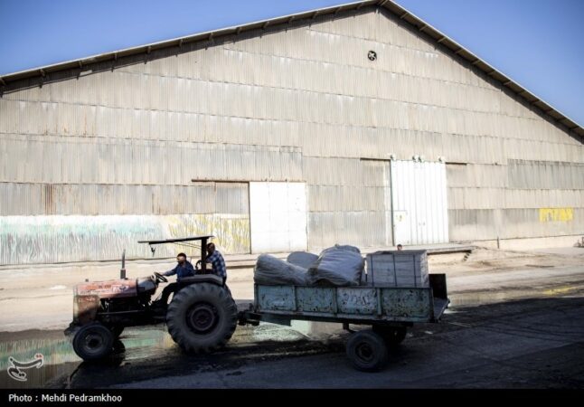 95 درصد سهام هفت تپه واگذار می‌شود