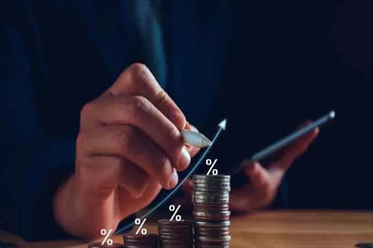 بهره وری مالی شرکت