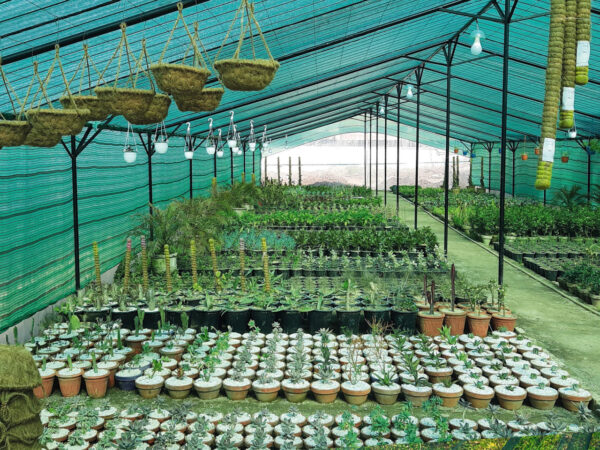 شید گلخانه و توری سایبان گلخانه ای؛ زیرساخت‌های هوشمند مدیریت اقلیم و توسعه بازار کشاورزی