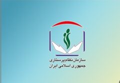 احضار ۱۸ پرستار به‌دلیل فعالیت‌های خارج از حوزه سلامت بوده است