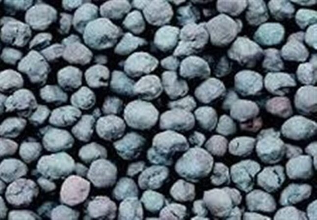 بزرگترین تامین مالی تاریخ بورس کالا فردا انجام می شود