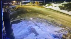 سقوط مرگبار دنا به دره در جاده چالوس با ۳ کشته