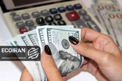 قیمت دلار امروز سه شنبه 5 اسفند/ افزایش جزئی نرخ + جدول