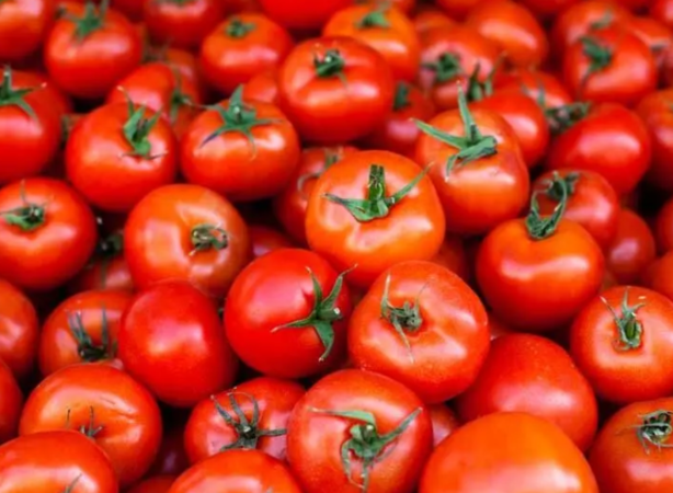 بازار صادراتی جان گرفت / دستور تازه گمرک برای خروج آزادانه سه کالای حساس