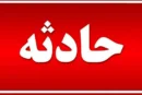 جزئیات جنایت خونین در بیرجند/ یک وکیل دادگستری توسط خانمش زیرگرفته شد