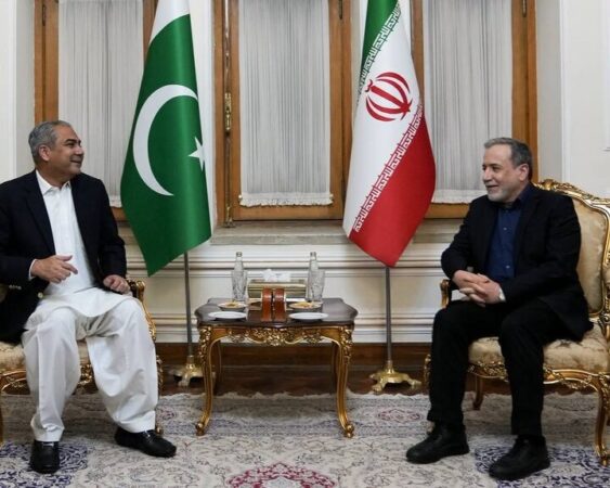 دیدار وزیر کشور پاکستان با عراقچی