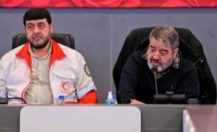 هلال احمر ضامن تحقق تاب‌آوری و پایداری ملی است