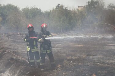 جزئیات سوختن ۱۰۰ اصله درخت در آتش‌سوزی مهیب مشهد