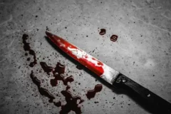 جزئیات جنایت دلخراش خیابان کارگر جنوبی/ قاتل زن و شوهر جوان به دو بار قصاص محکوم شد