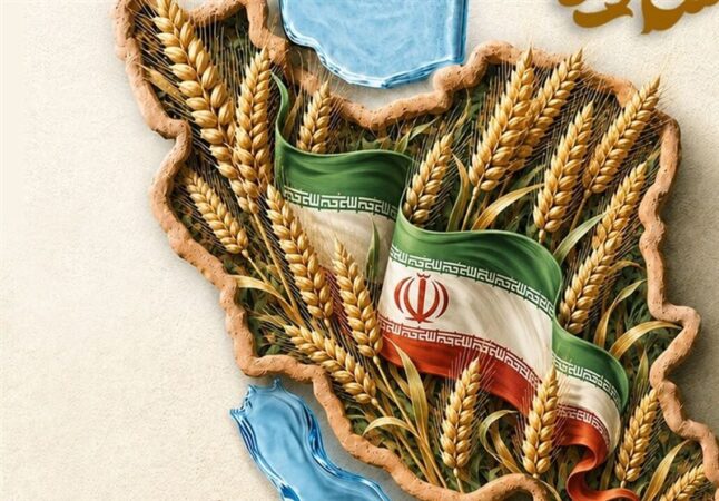 خودکفایی در محصولات اساسی با اجرای برنامه هفتم قابل تحقق است/تولید داخلی، محور تحقق امنیت غذایی