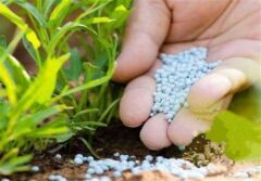 شوک جنگ علیه ایران بر زنجیره کود؛ زنگ خطر برای امنیت غذایی جهانی