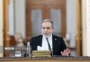 عراقچی: ما حافظ امنیت تنگه هرمز هستیم ولی 20 درصد هم رقم بالایی است