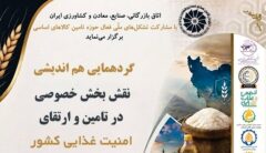 هشدار محترمانه درباره فروپاشی زنجیره تأمین کالاهای اساسی| واردات برنج به نصف رسید