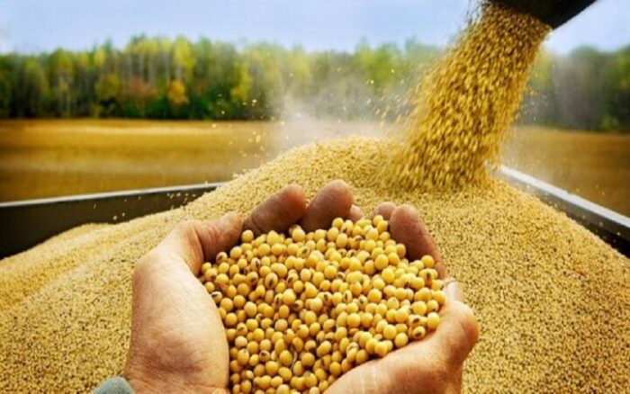 ثبت سفارش واردات پنج کنجاله از ۹ شهریورماه آغاز می‌شود