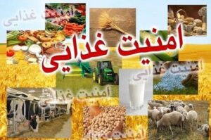 امنیت غذایی را اولویت درجه یک کشور کنیم