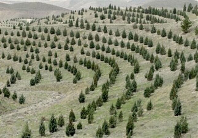 آغاز پویش ملی نهال‌کاری برای تحقق طرح کاشت یک میلیارد درخت