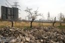 اختلاف شورا با دیوان عدالت بر سر باغات تهران/ حکم همه باغات تغییر می کند