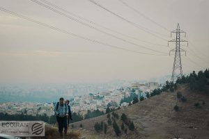 افزایش ۱۰ تا ۱۵ درصدی اجاره‌بها در شمال تهران؛ چرا مستاجران ترجیح می‌دهند بمانند؟