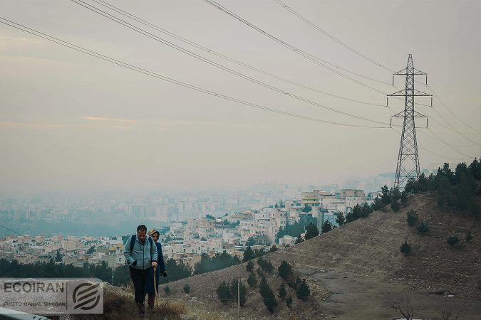 افزایش ۱۰ تا ۱۵ درصدی اجاره‌بها در شمال تهران؛ چرا مستاجران ترجیح می‌دهند بمانند؟