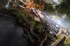 وزش باد شدید عصر امروز در پایتخت؛ هشدار نارنجی برای تهرانی‌ها صادر شد