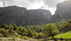 کشف معدن گمشده سنگ‌های کاخ داریوش در آبدانان ایلام